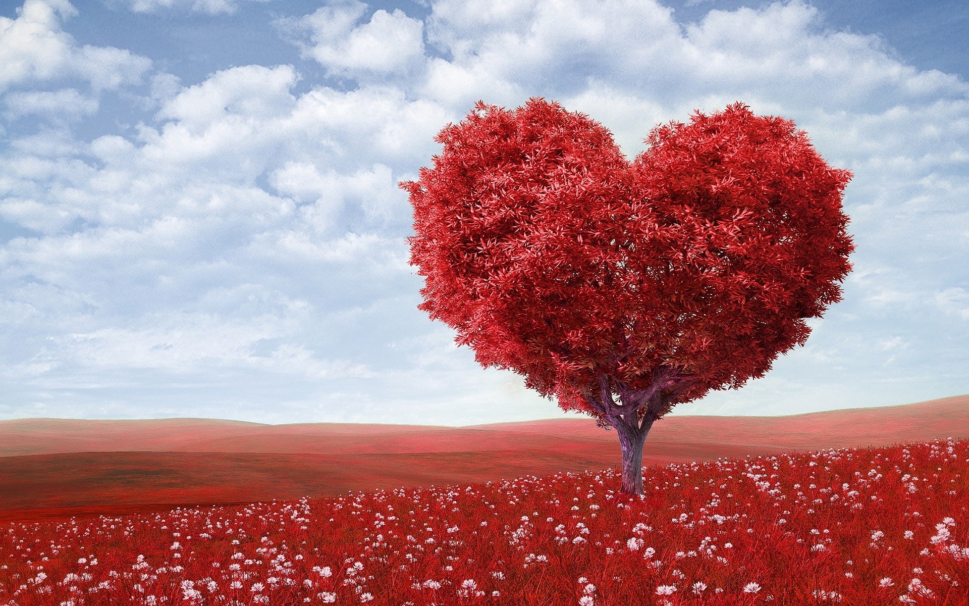 red heart shaped tree in red flower field, educating readers how to prevent heartbreak