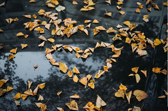 leaves in the shape of a heart on the wet street, moving away from abuse towards love