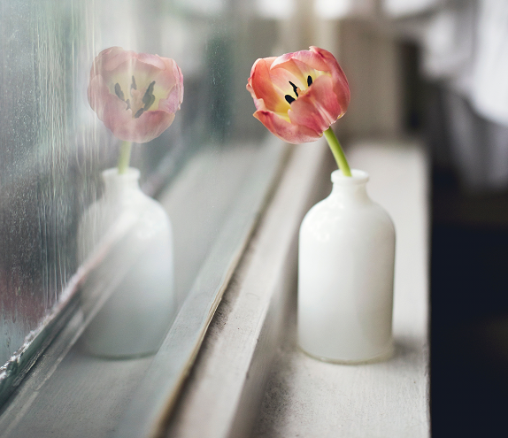 red tulip in a white vase in front of a window, symbolizing what does it mean to be vulnerable in a relationship