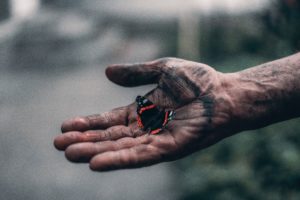 man with henna painted hand has a orange, black and white butterfly that landed on his hand